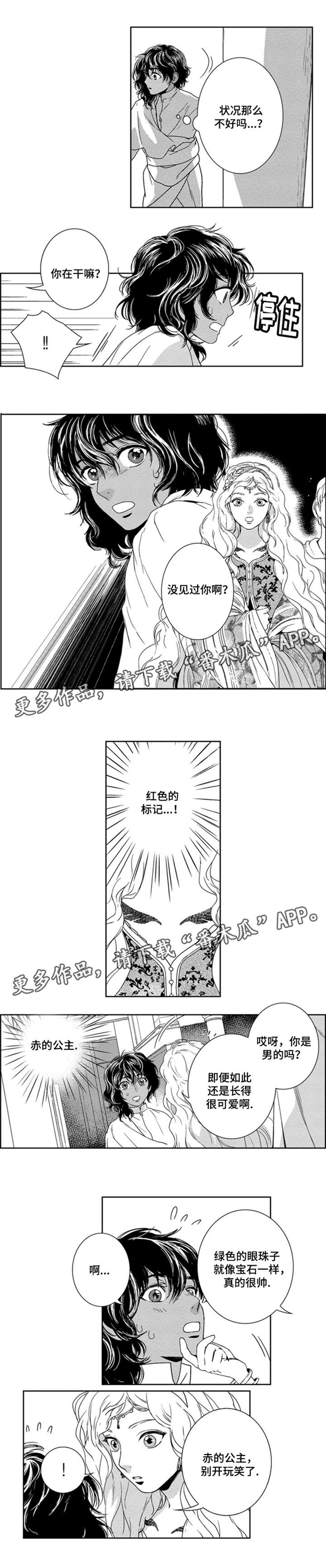 第9章：卡玛5