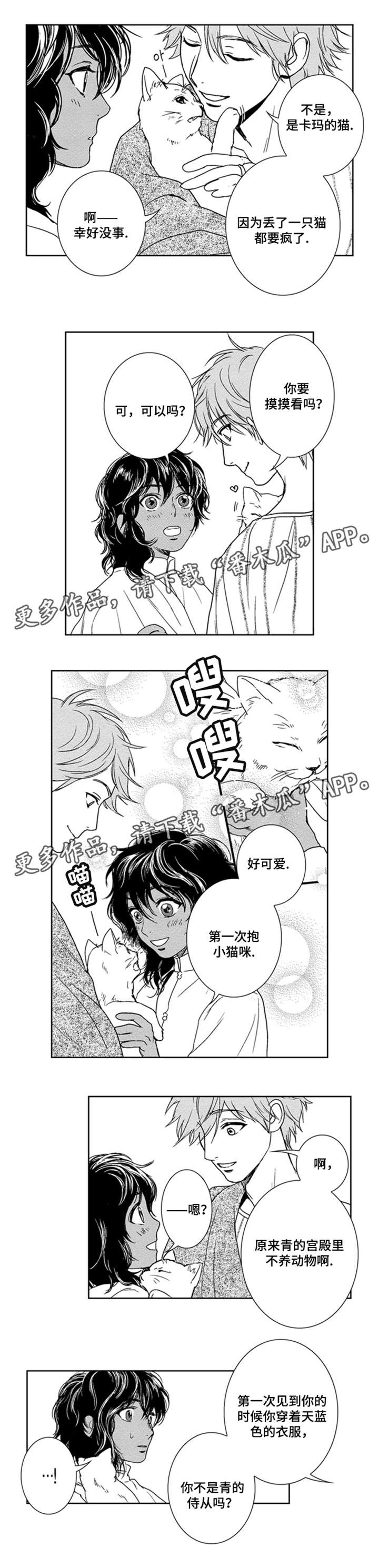 第11章：余生偿还6