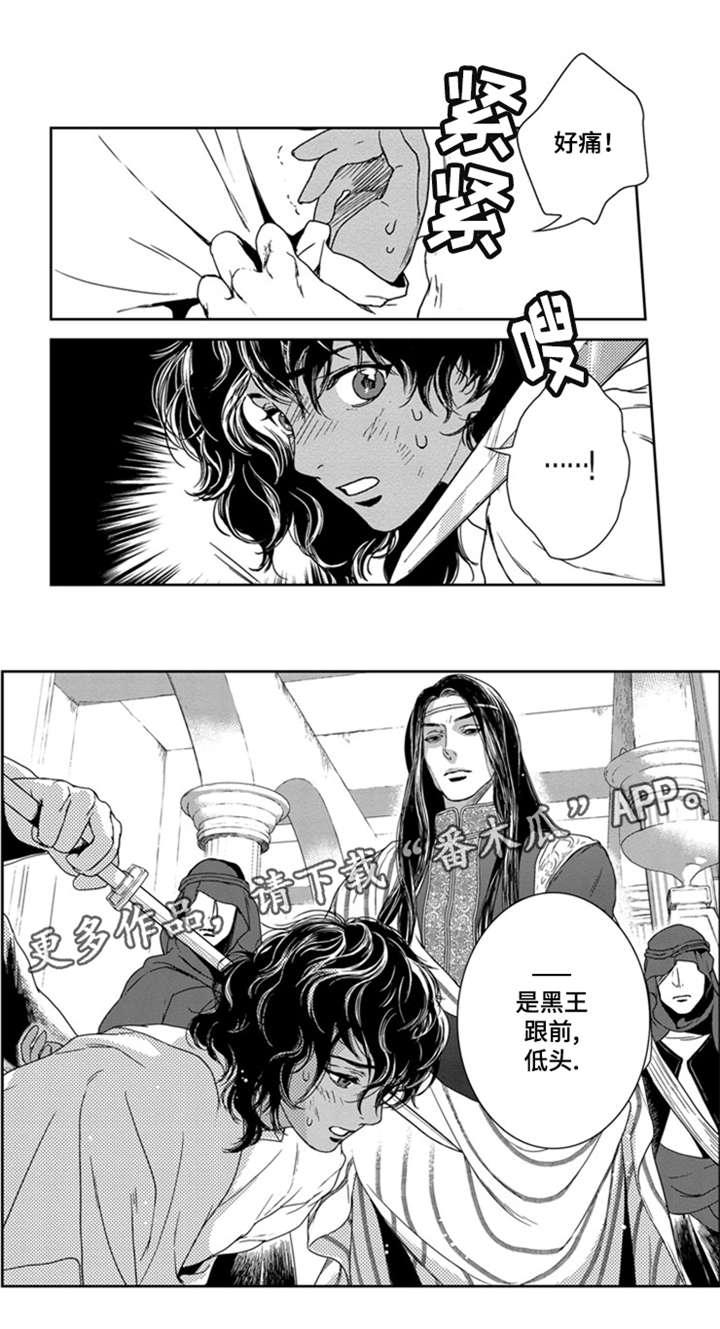 第16章：黑王1