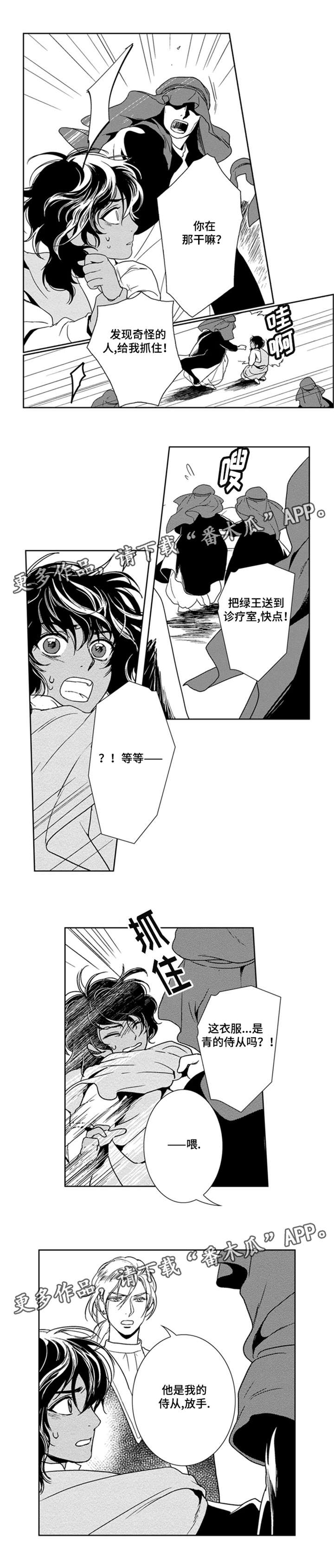 第29章：真正的占星术师5