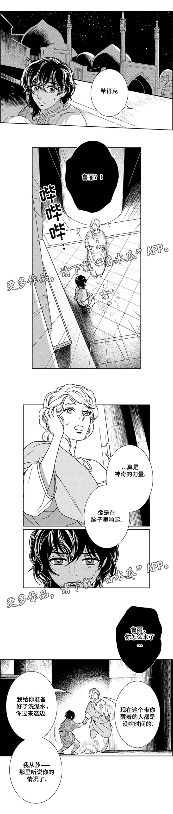 第25章：参观0
