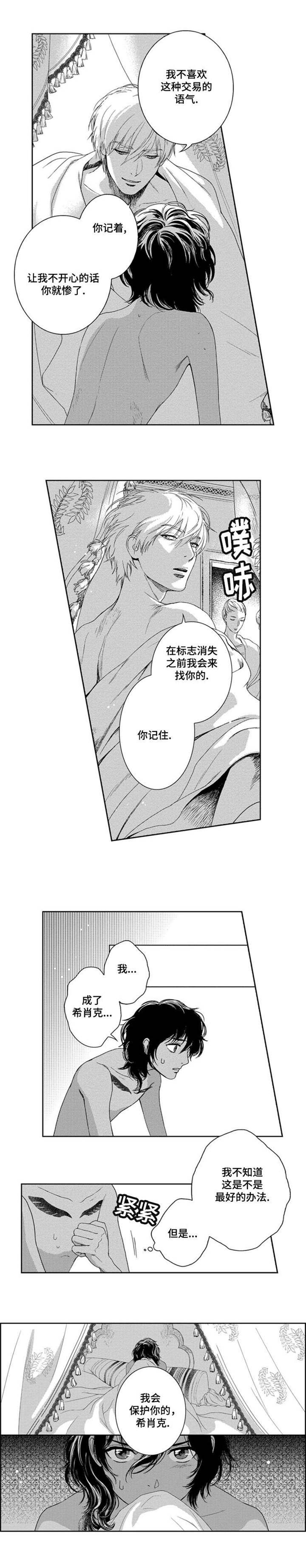 第4章：伪装0