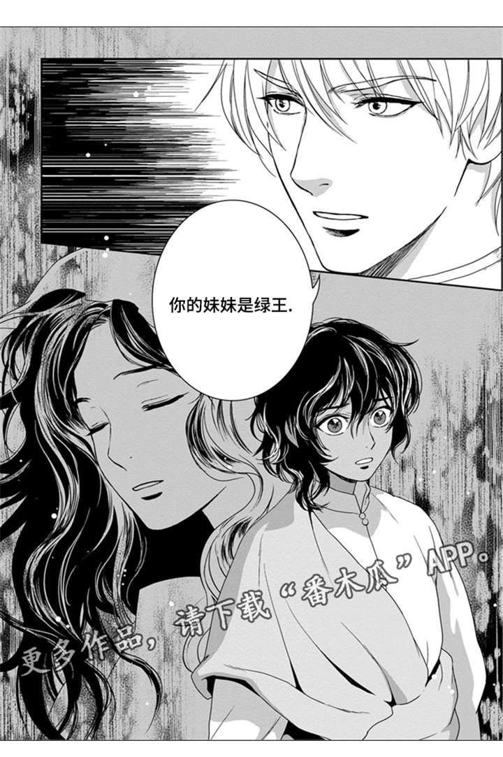 第28章：妹妹是绿王3