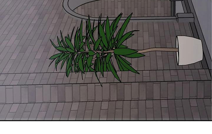 第35章：同款14