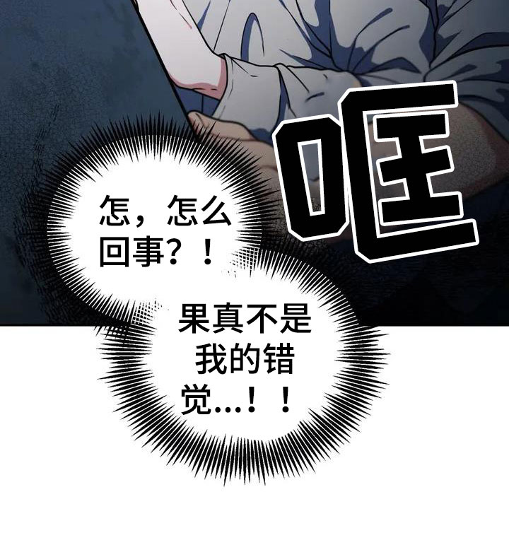 第2章：被袭击29