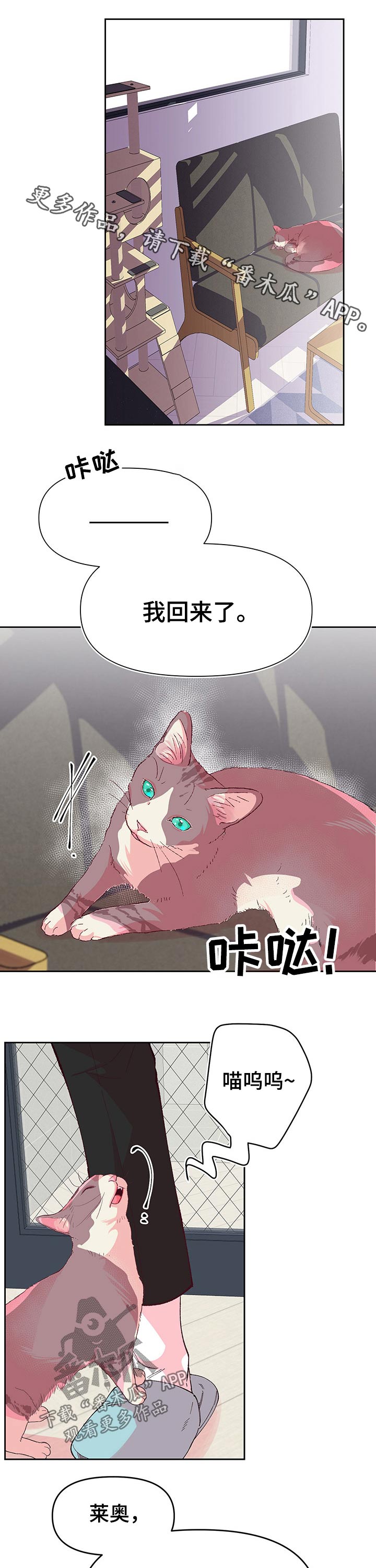 第82章：姐姐0