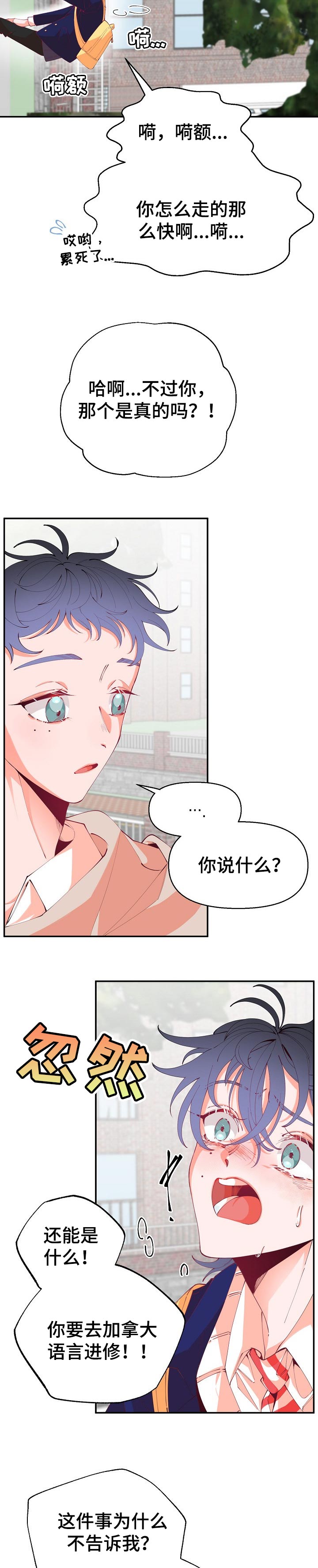 第52章：确认1