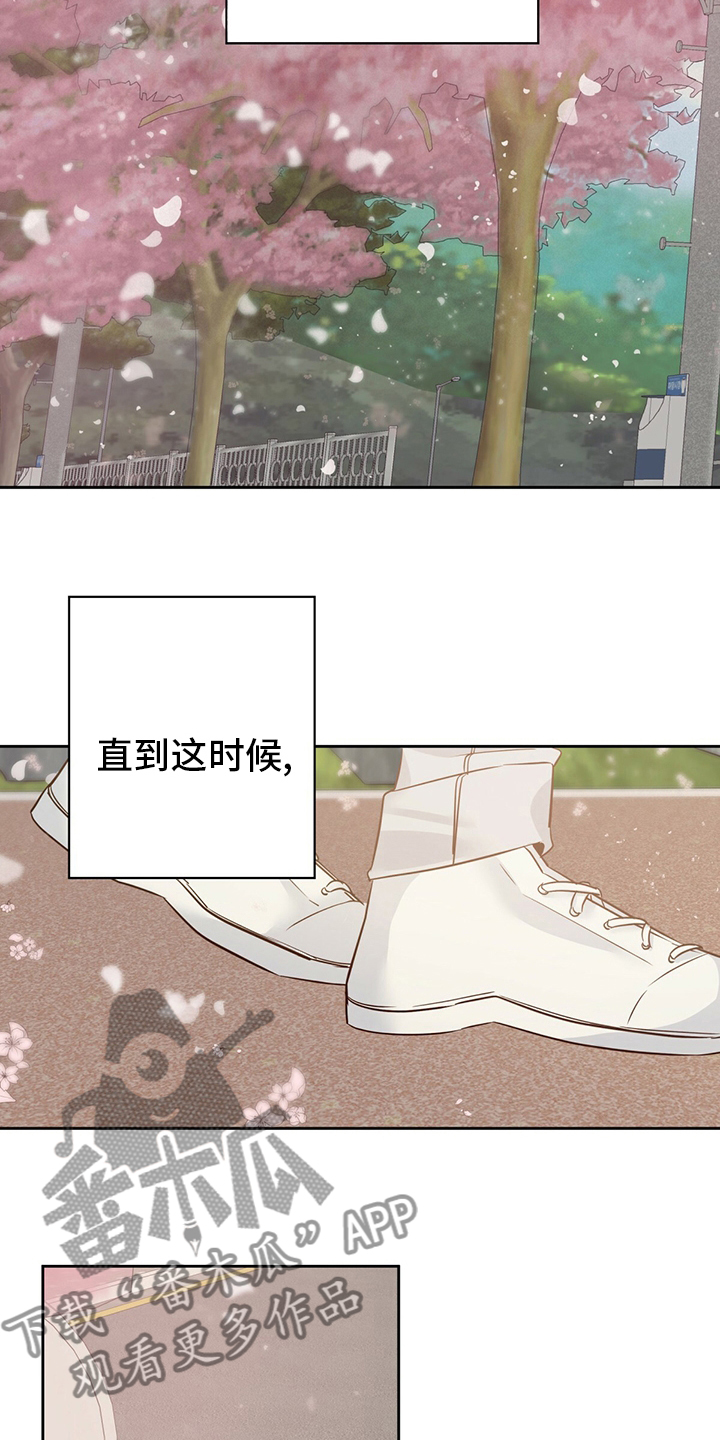 第113章：【第二季完结】消失22