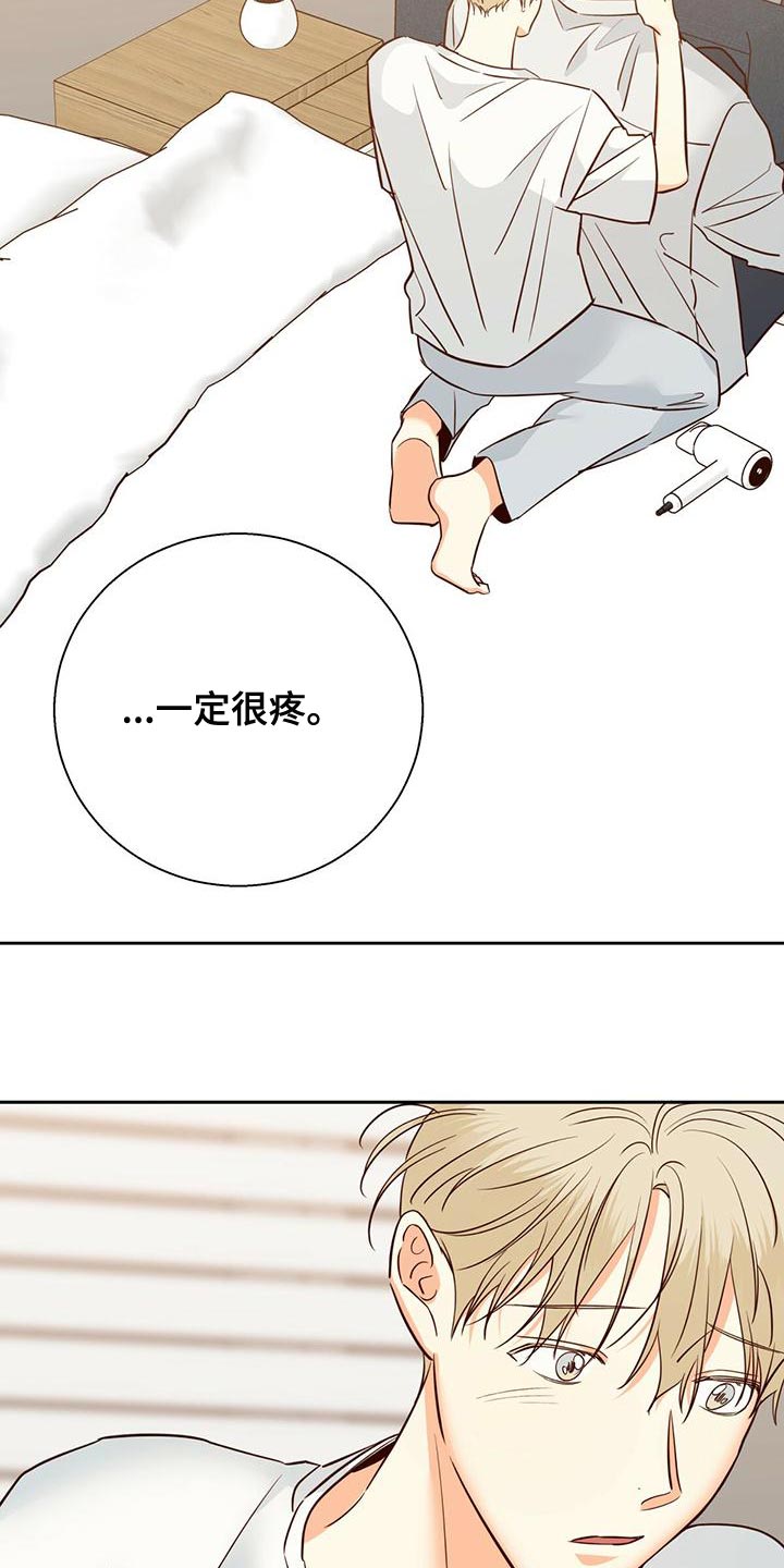 第164章：【第三季】唯一的安慰14