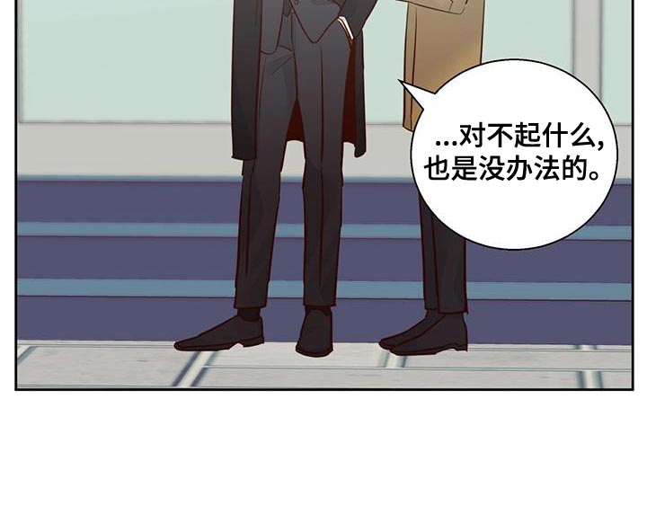 第165章：【第三季】繁忙的工作17