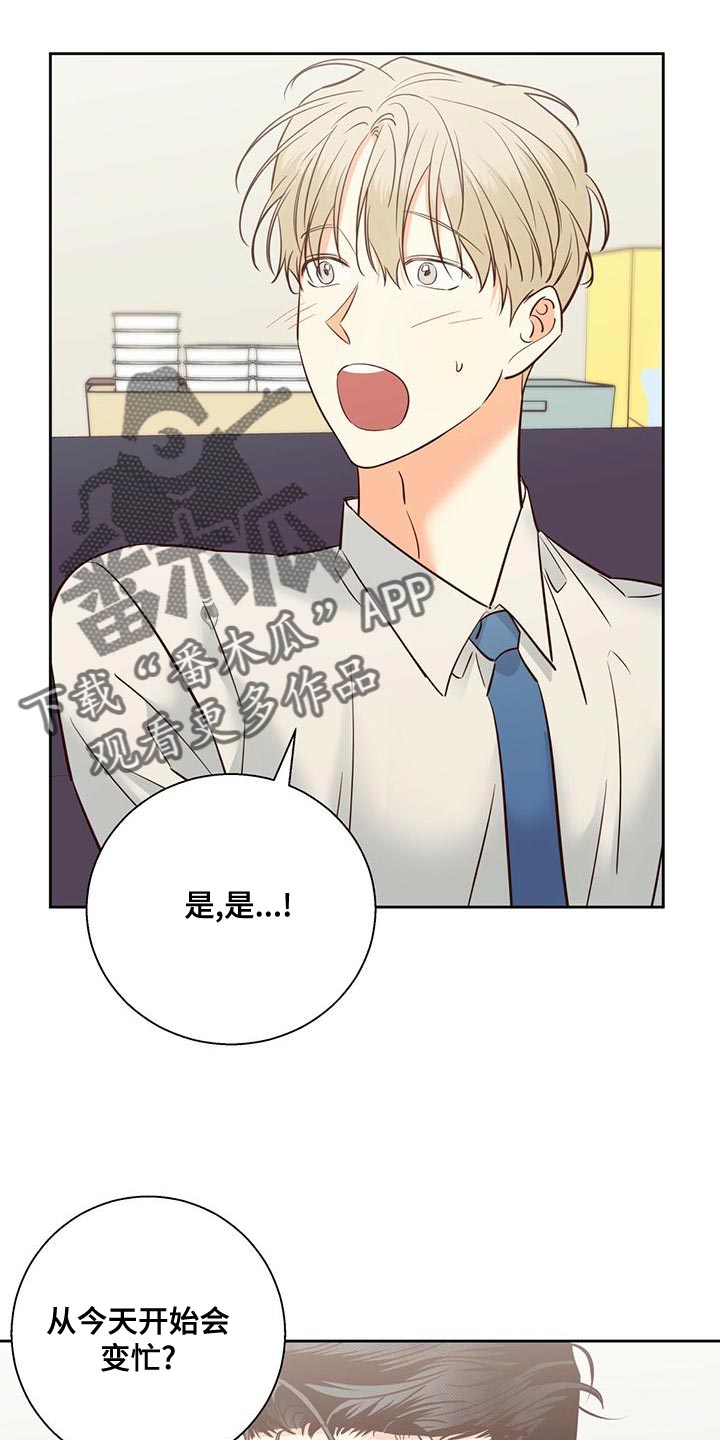 第165章：【第三季】繁忙的工作15