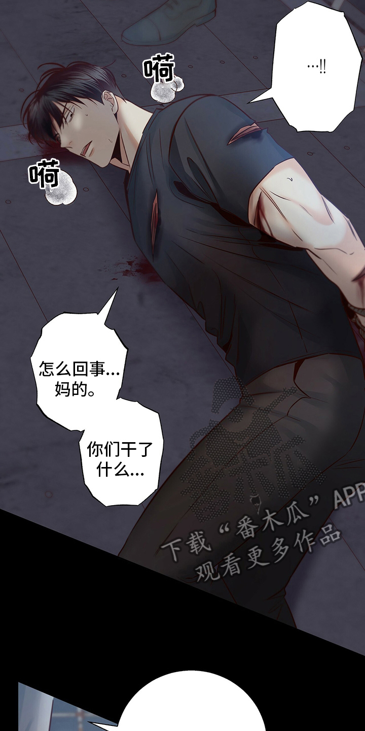 第115章：【番外】运气7