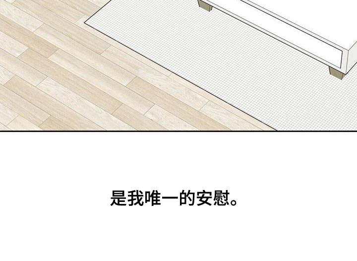 第164章：【第三季】唯一的安慰29