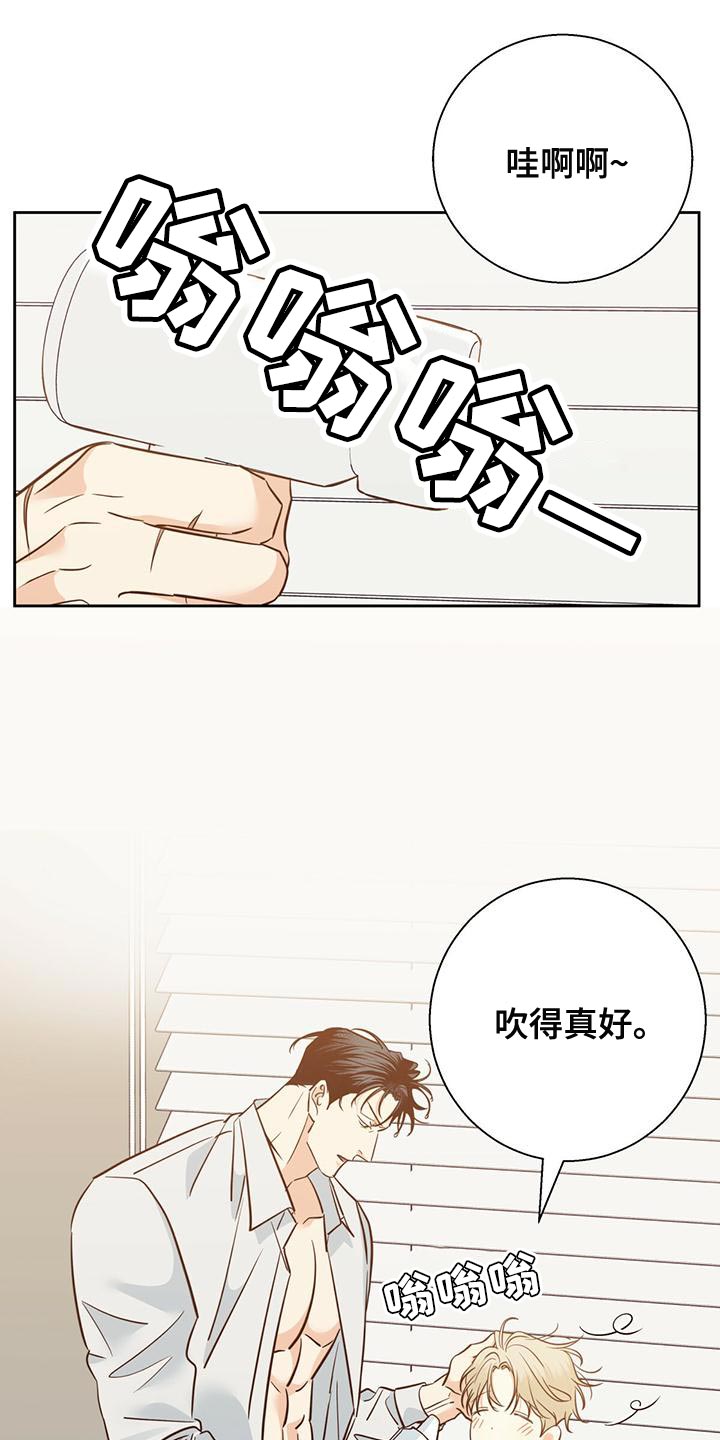第164章：【第三季】唯一的安慰0