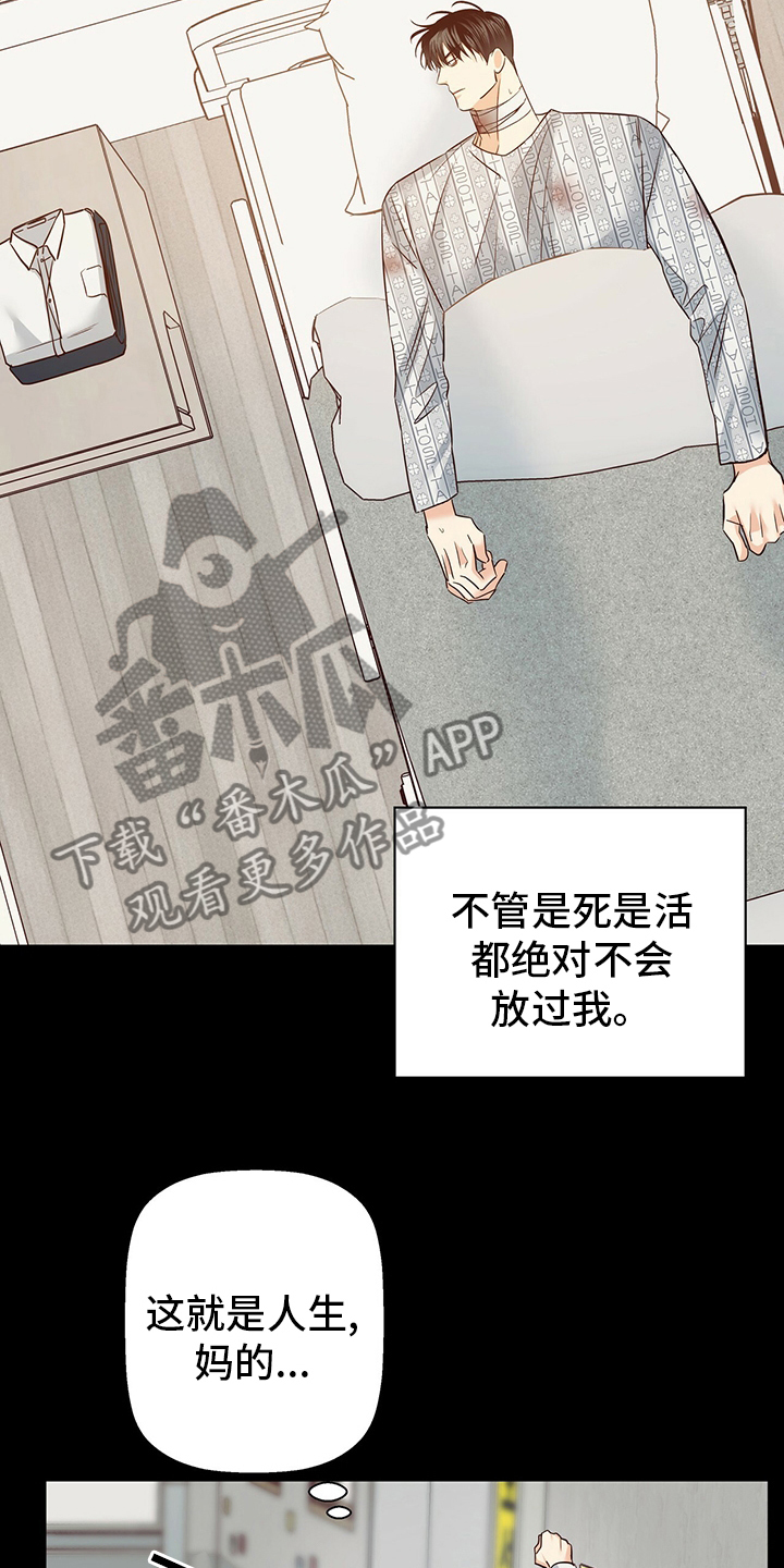 第115章：【番外】运气23