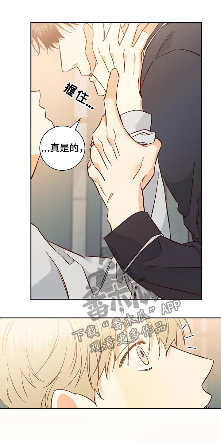 第193章：【番外完结】平凡的幸福19