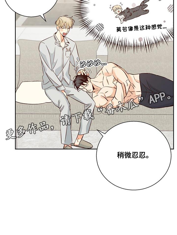 第178章：【第四季】膝枕20