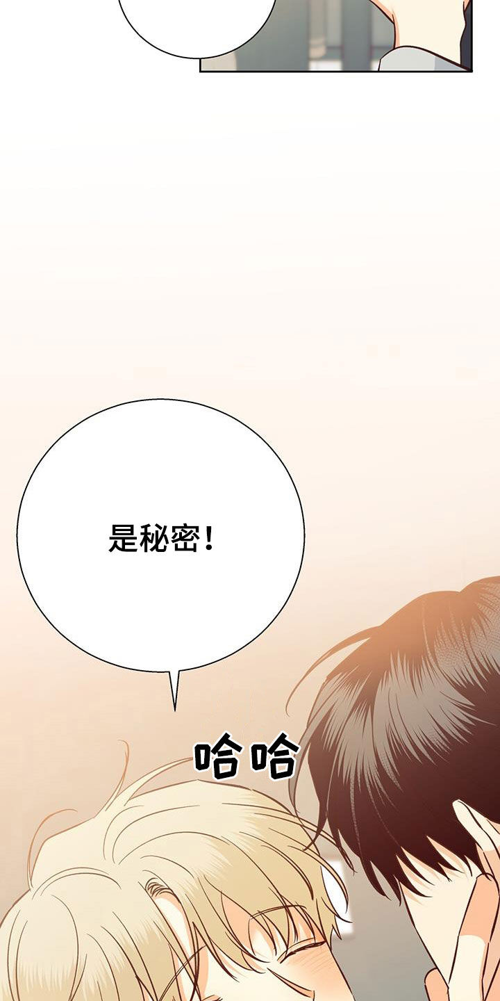 第193章：【番外完结】平凡的幸福16