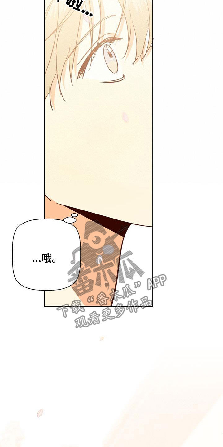 第193章：【番外完结】平凡的幸福22