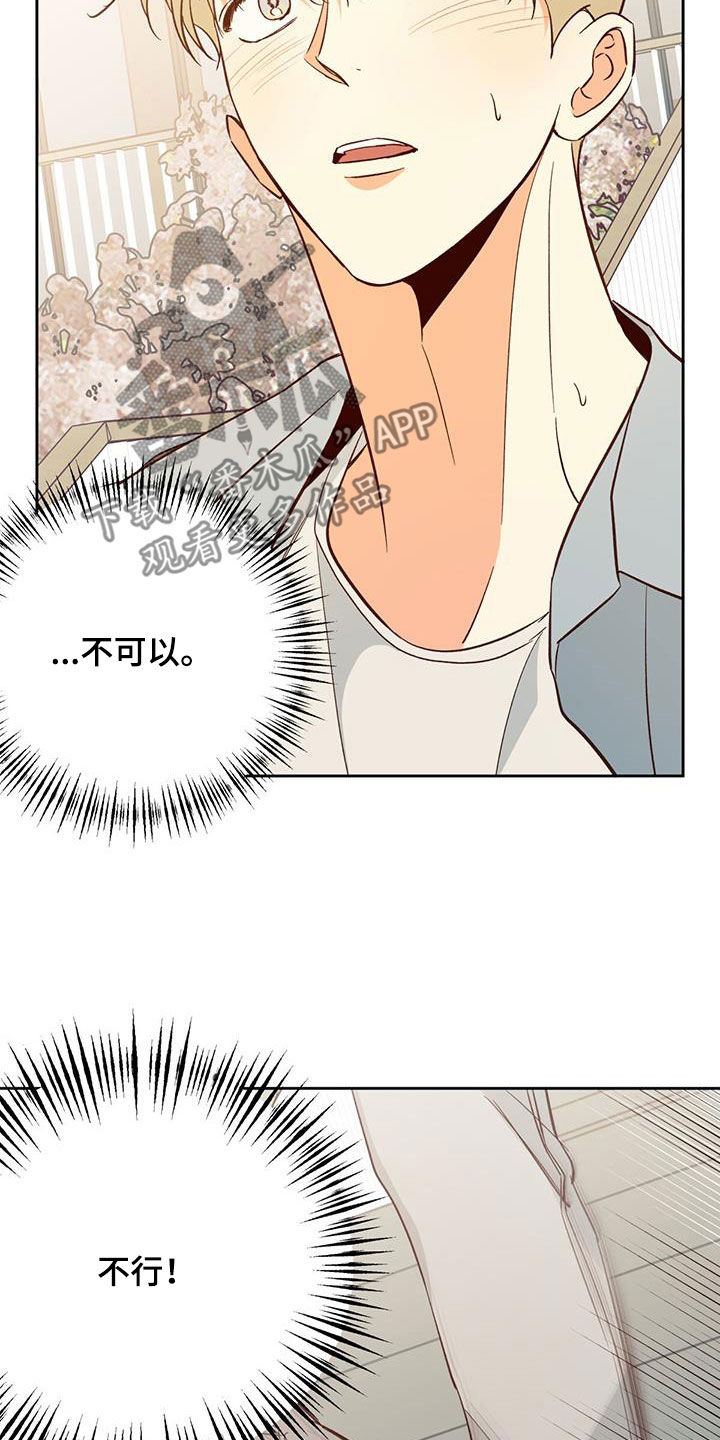 第191章：【第四季】再也没梦到8