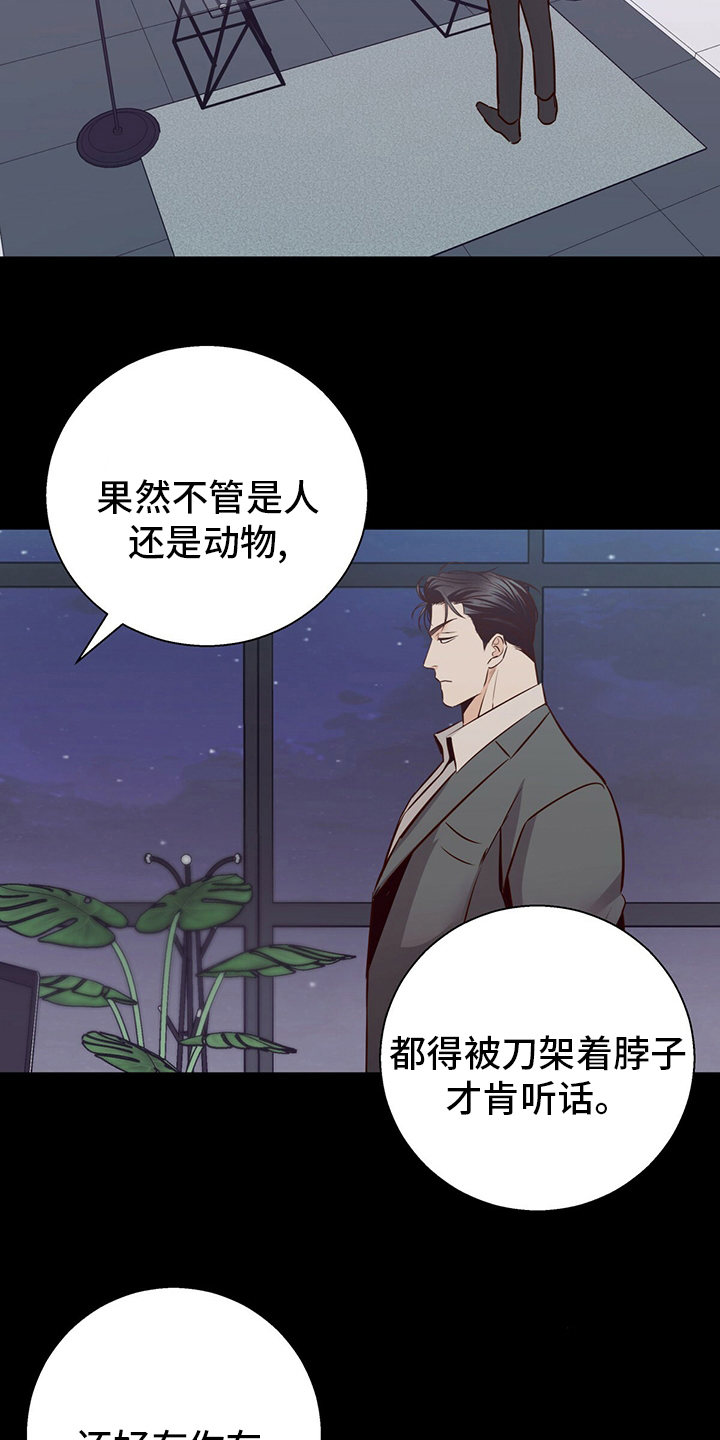 第116章：【番外】身不由己10