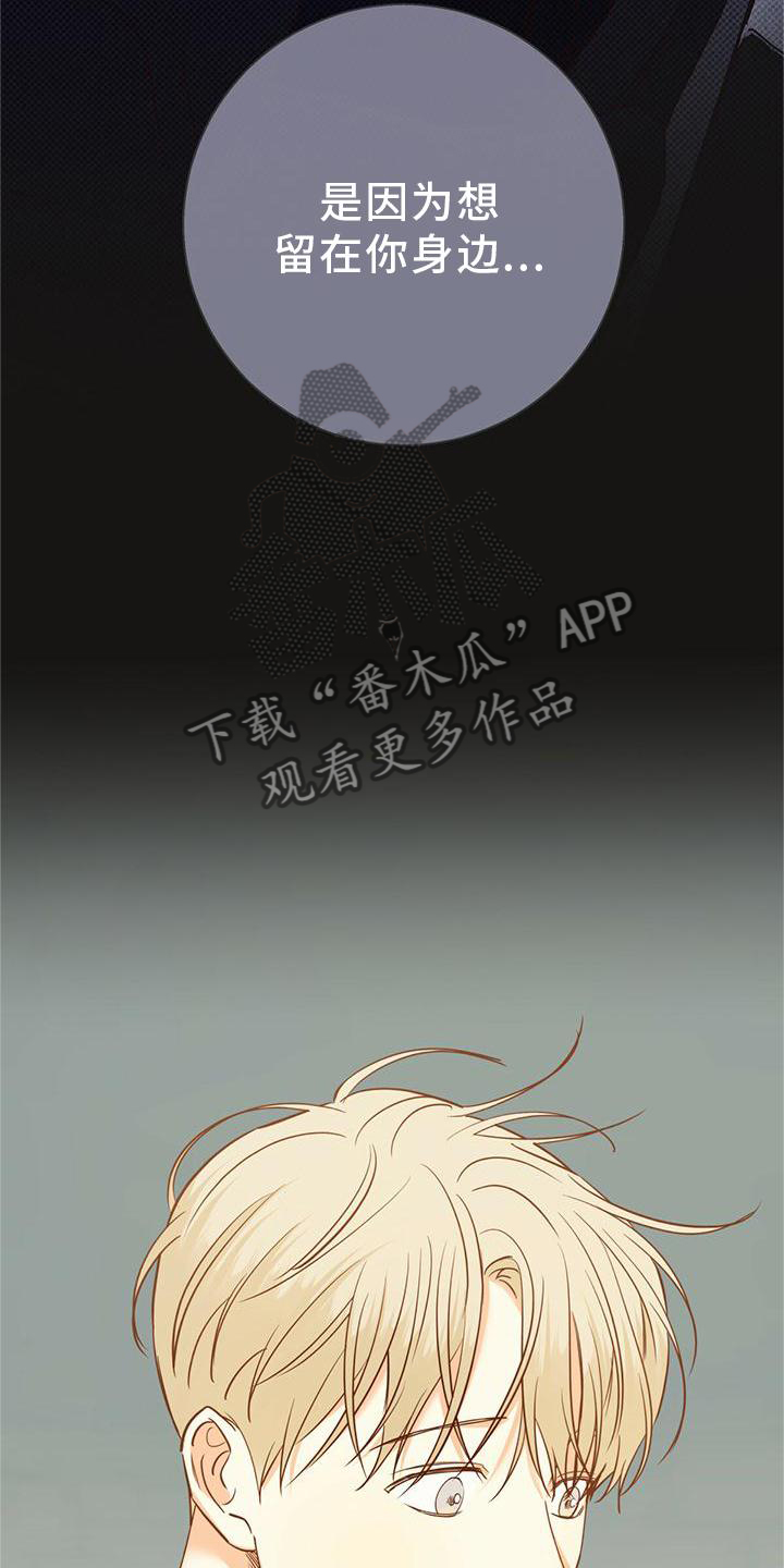 第153章：【第三季】选择15