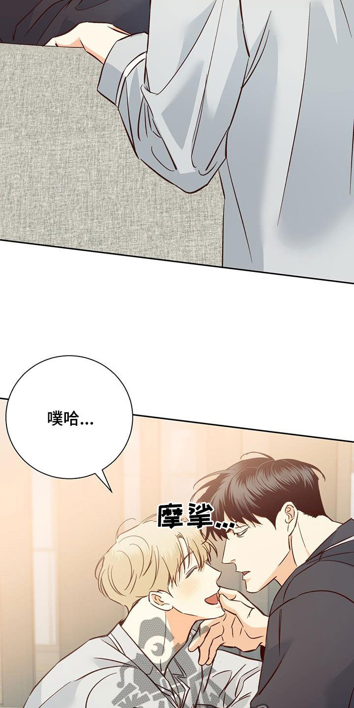 第193章：【番外完结】平凡的幸福10