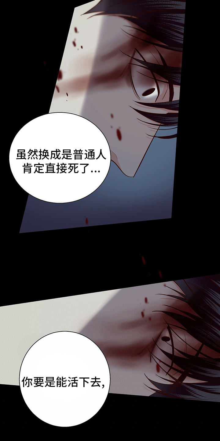 第115章：【番外】运气17