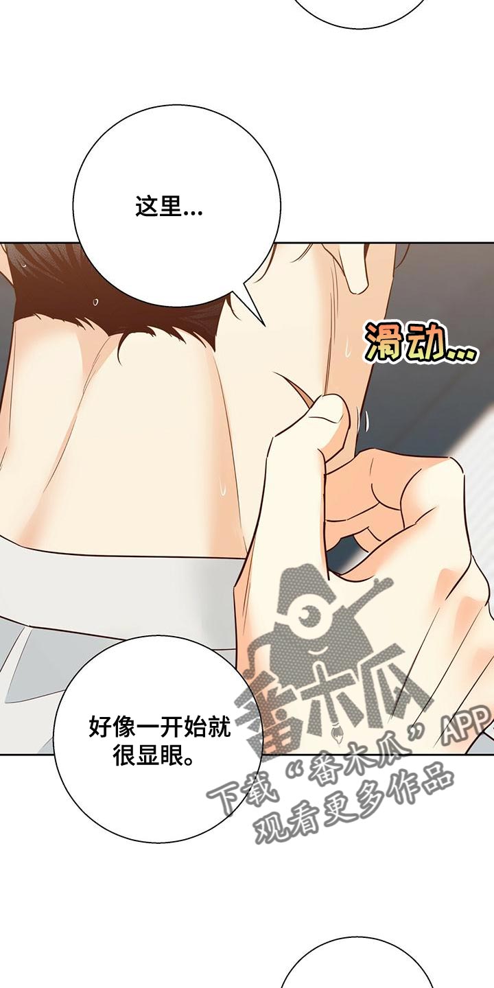 第164章：【第三季】唯一的安慰12