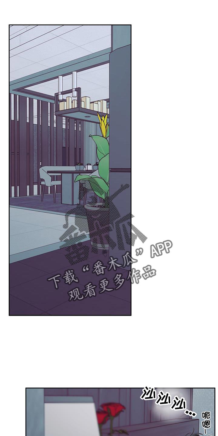 第178章：【第四季】膝枕0