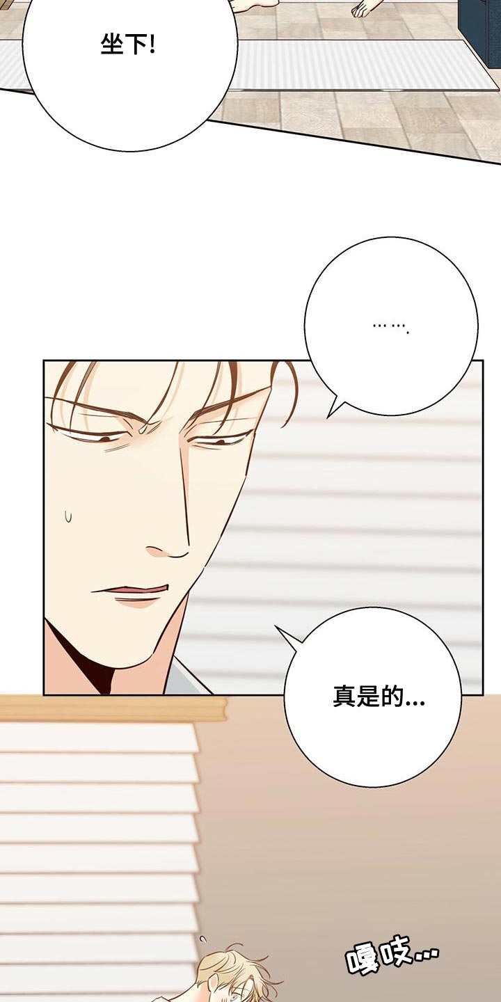第164章：【第三季】唯一的安慰7