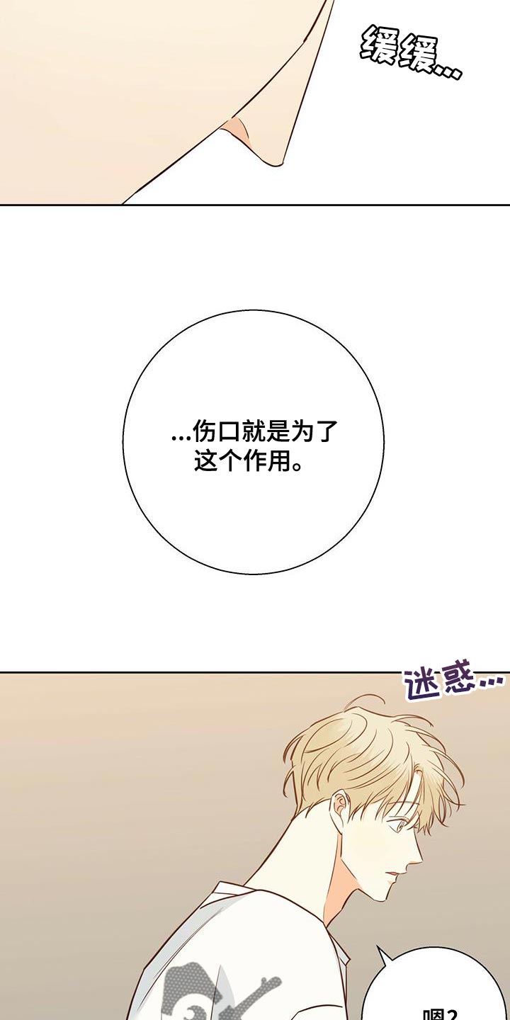 第164章：【第三季】唯一的安慰18