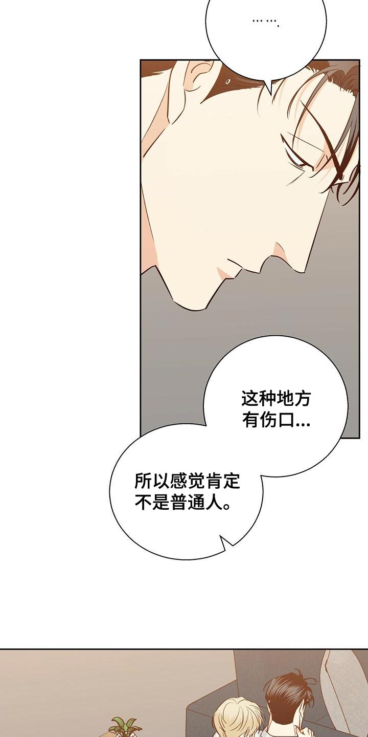 第164章：【第三季】唯一的安慰13
