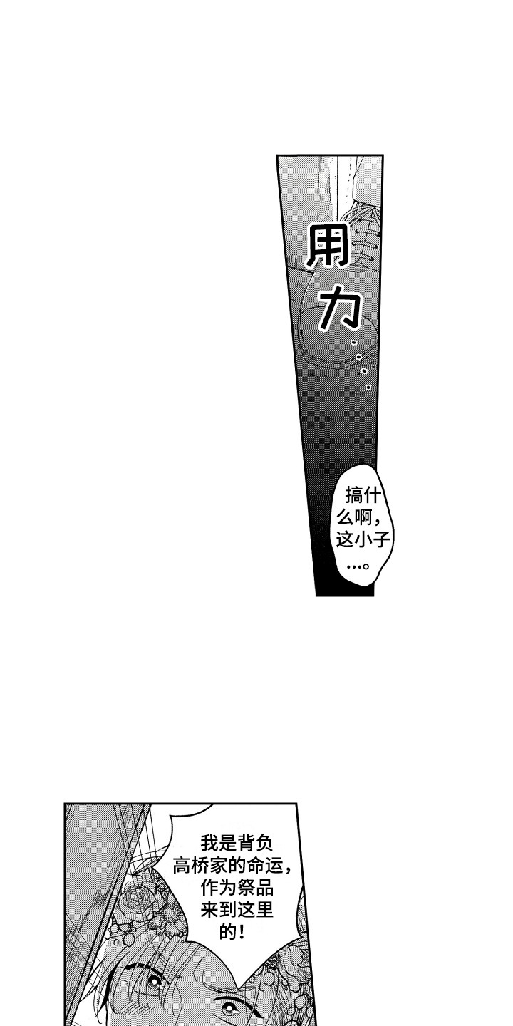 第1章：祭品12