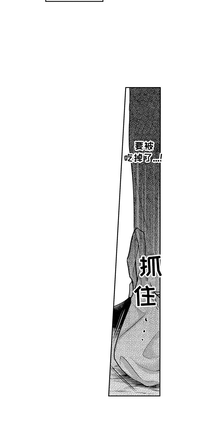 第7章：保护1