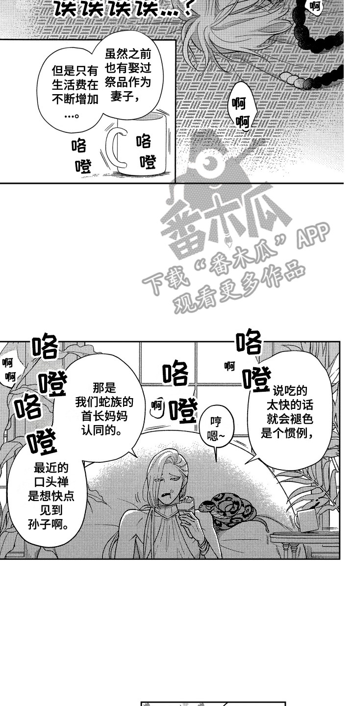 第25章：心意13