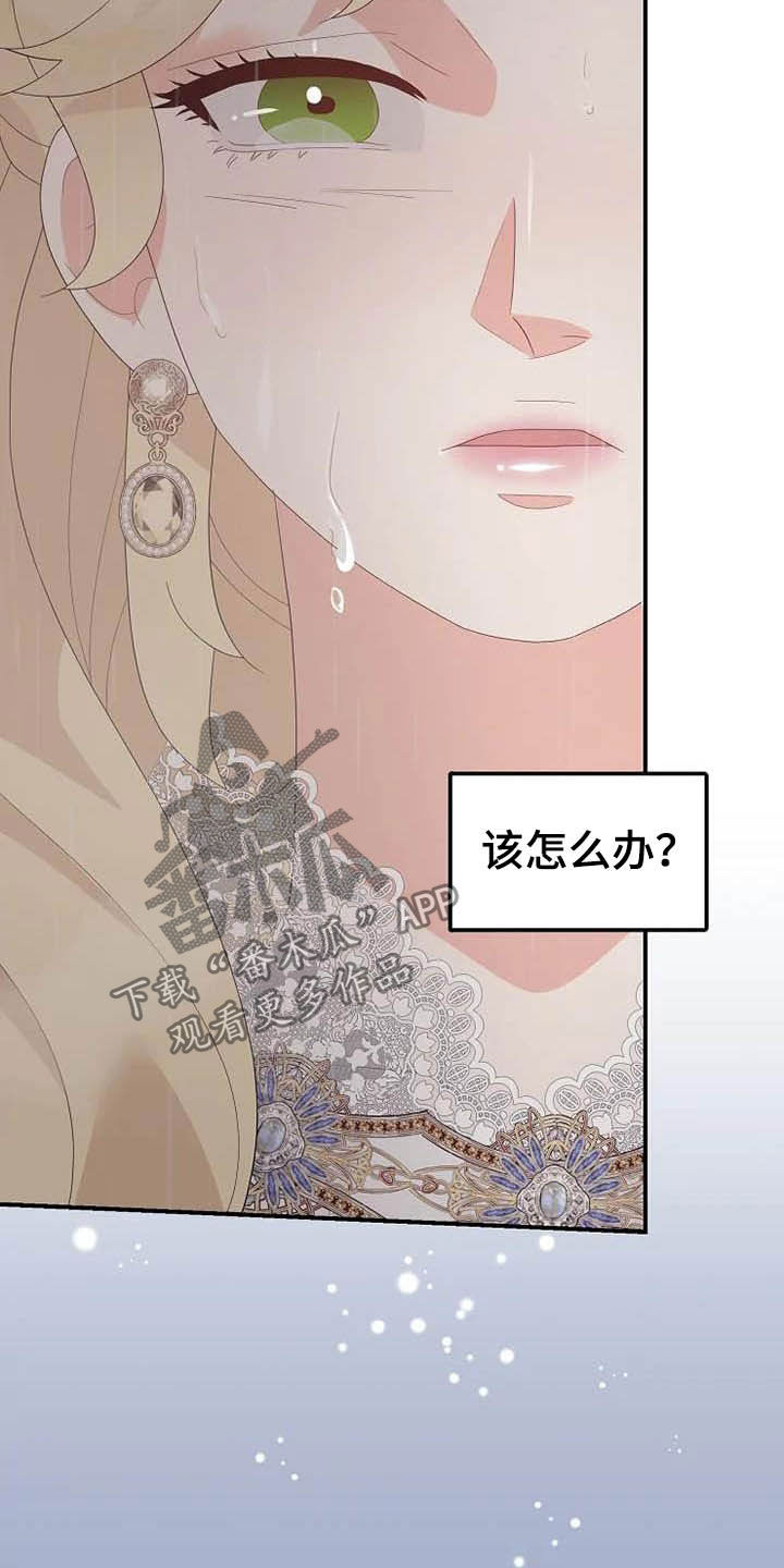 第45章：天平秤15