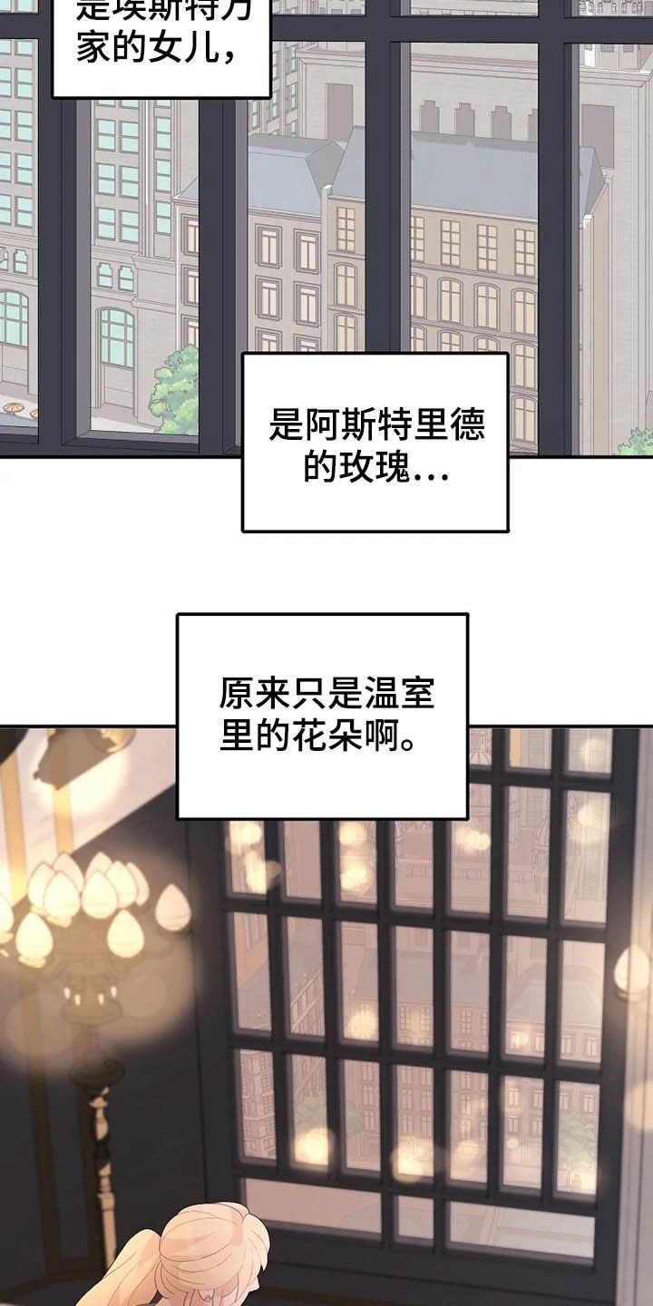 第40章：温室里的花朵4