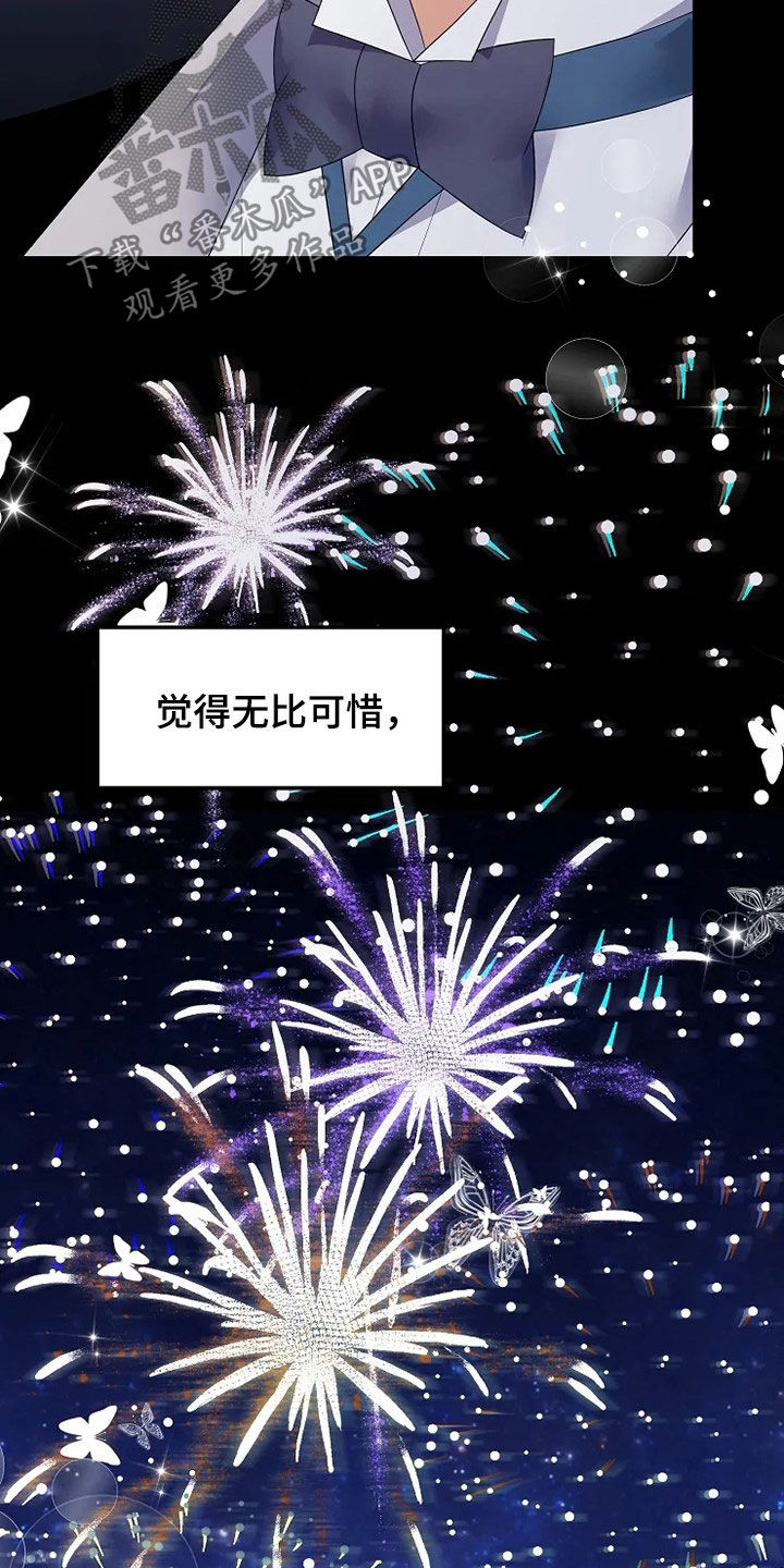 第34章：烟花19