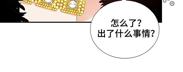 第33章：自杀29