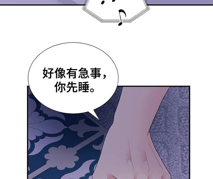 第27章：入侵者11