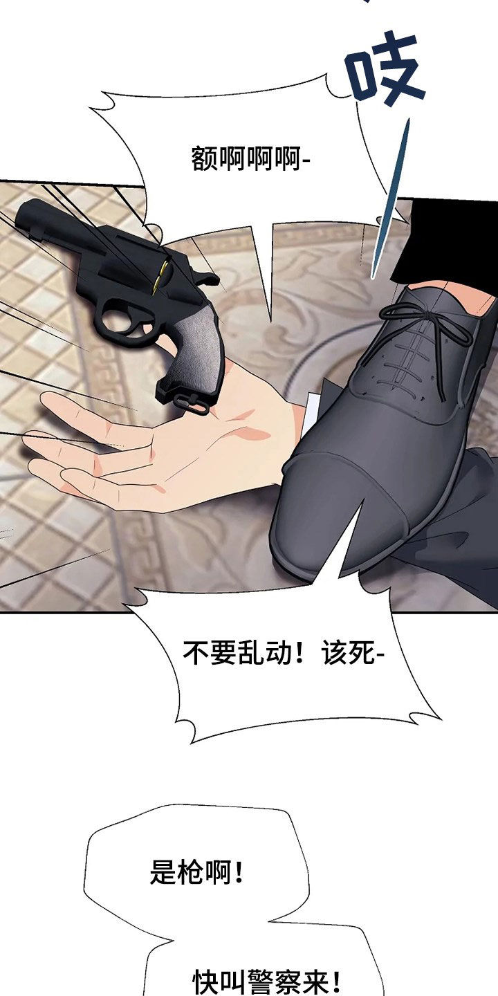 第29章：枪24