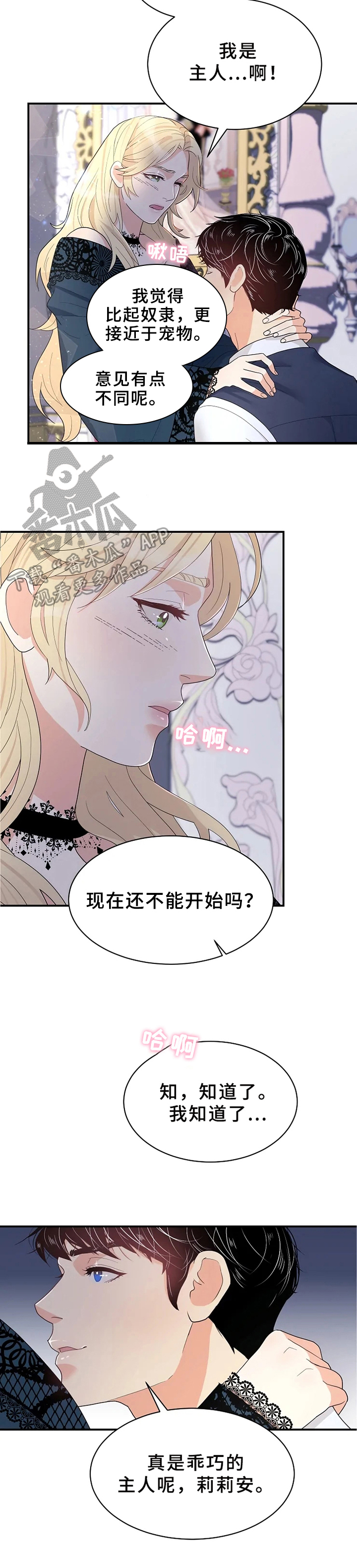 第12章：虚假4