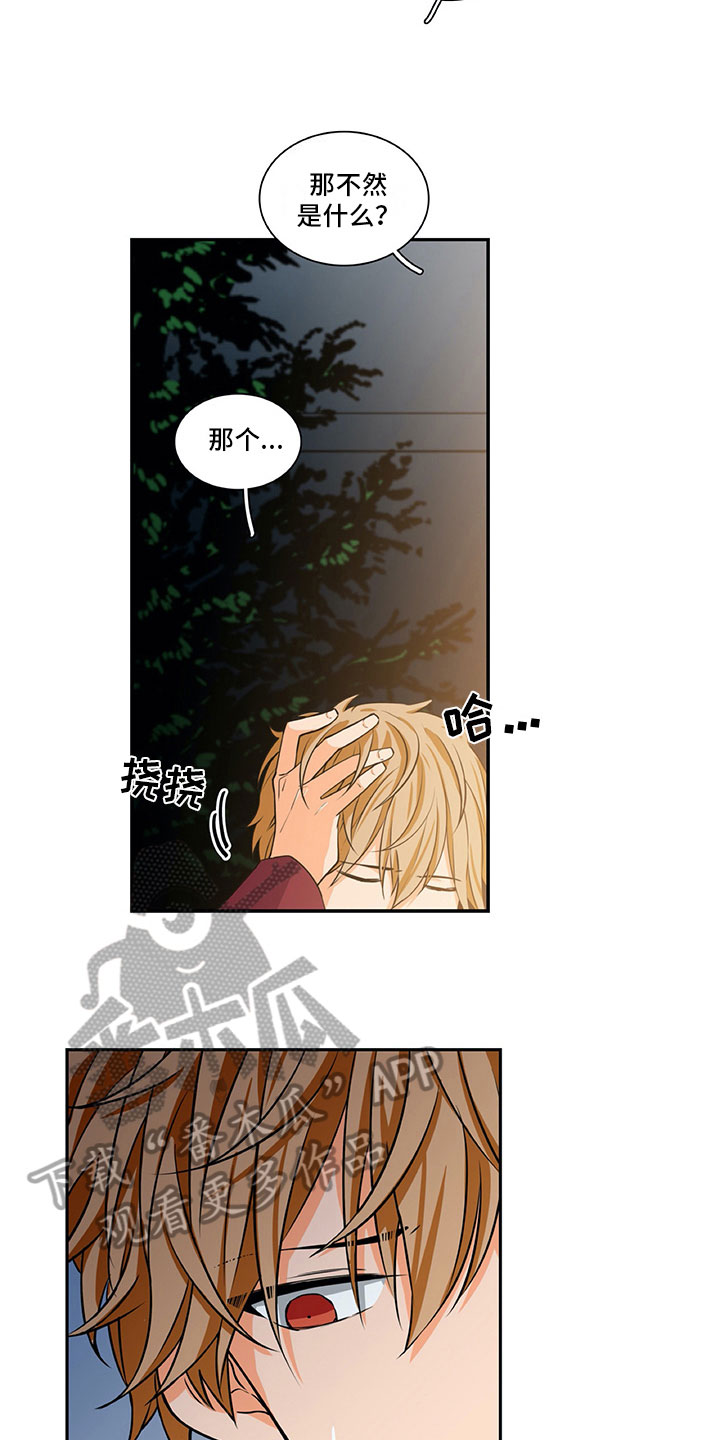 第25章：酒后表白7