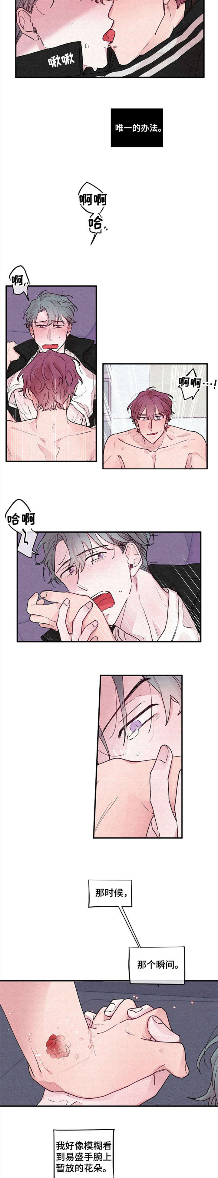 第18章：绽放（完结）9