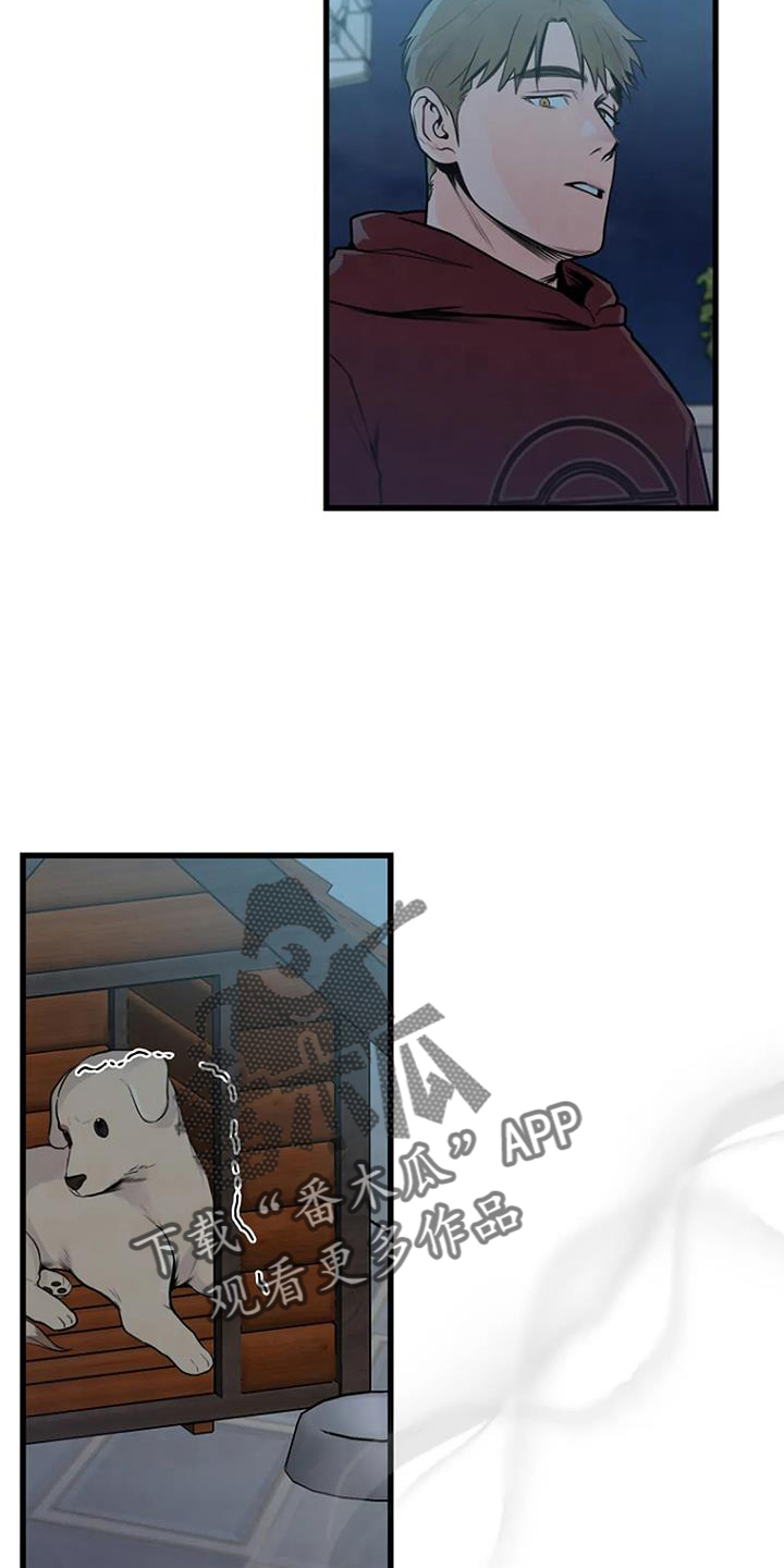 第58章：偷盗19