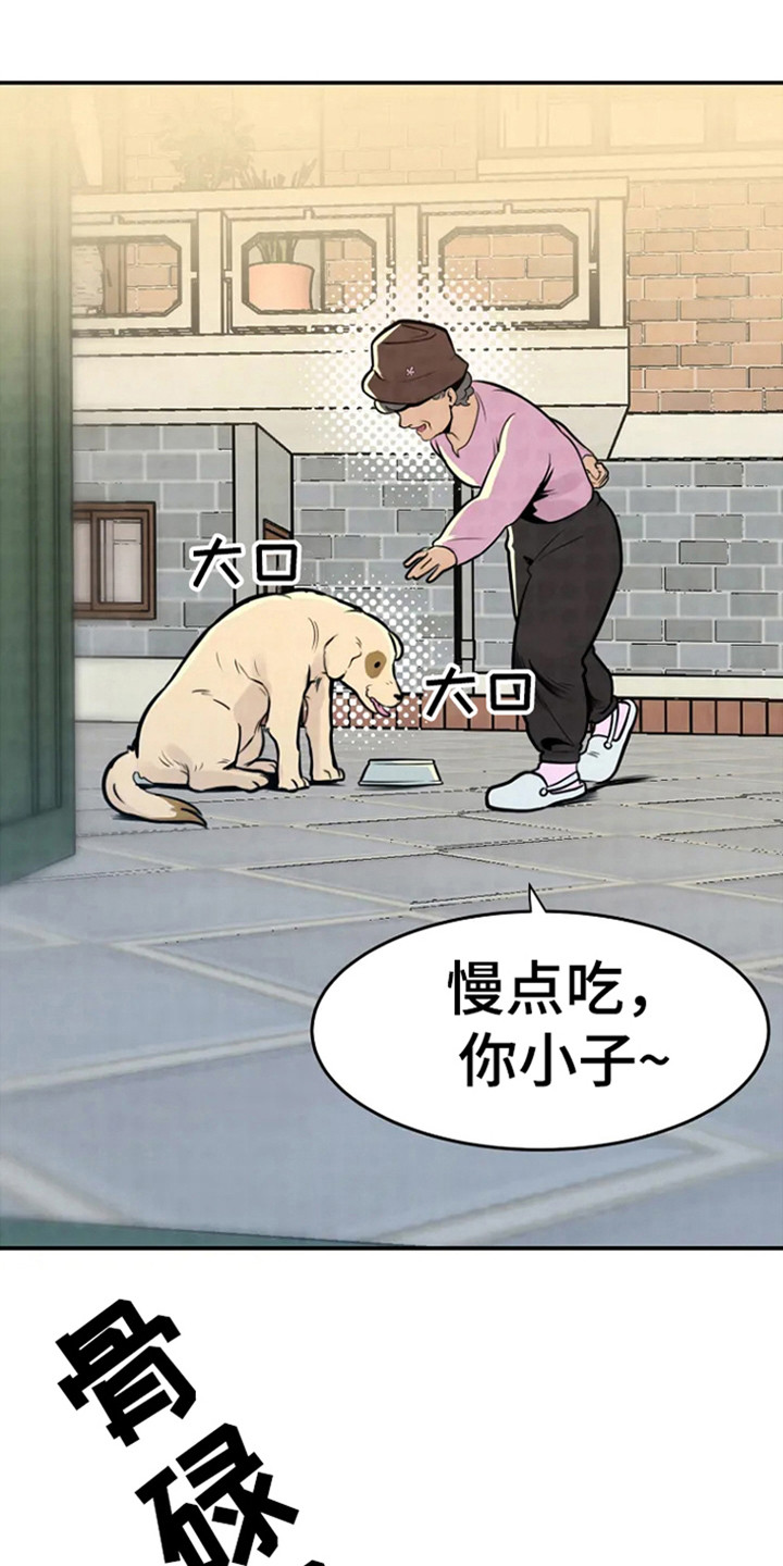 第2章：回来了1