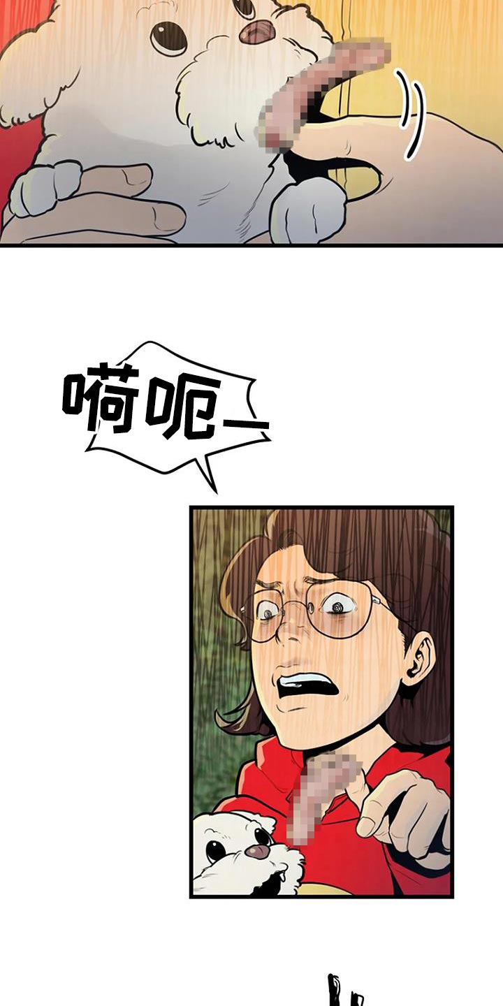 第30章：类似的案件22