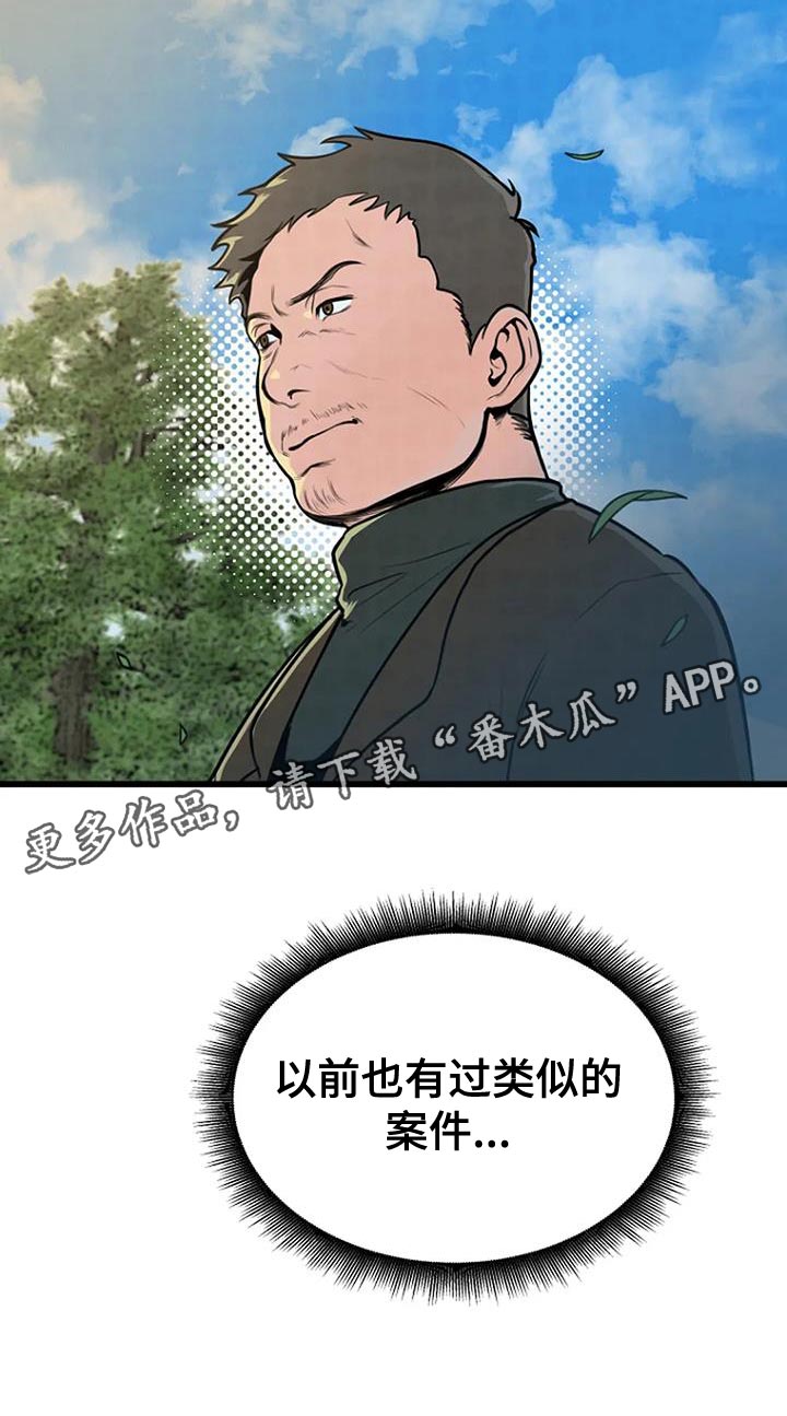 第30章：类似的案件27