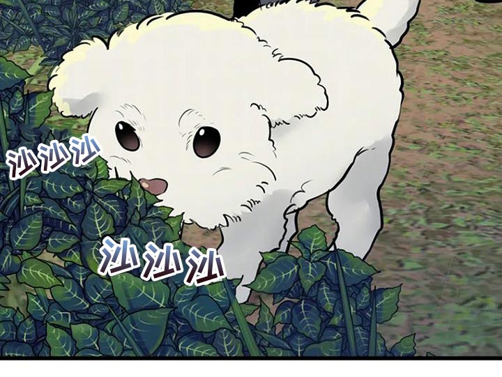 第30章：类似的案件19